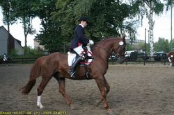img_1480.jpg