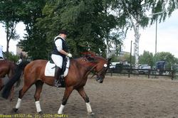 img_1481.jpg