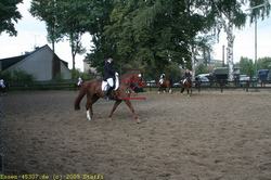 img_1482.jpg