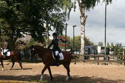 img_1615.jpg