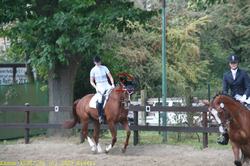 img_1630.jpg