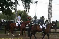 img_1638.jpg