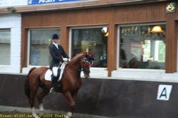 img_1663.jpg