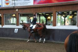 img_1666.jpg