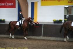 img_1682.jpg