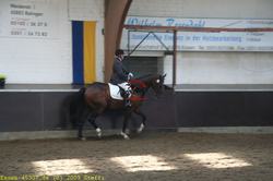 img_1731.jpg