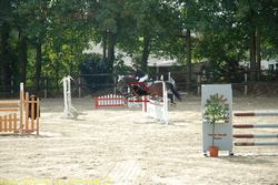 dsc_0240.jpg