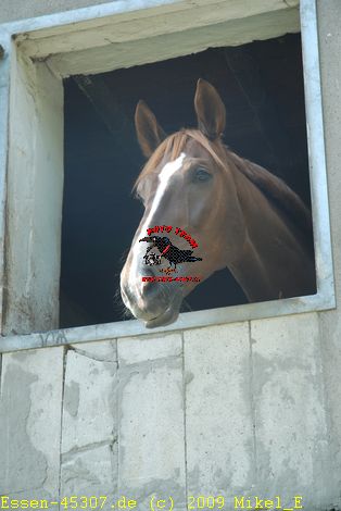 dsc_0021.jpg