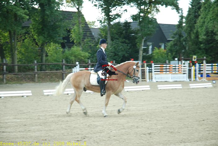 dsc_0025.jpg