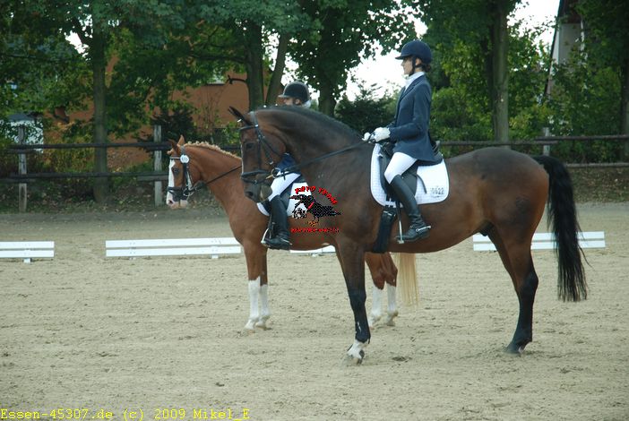dsc_0030.jpg