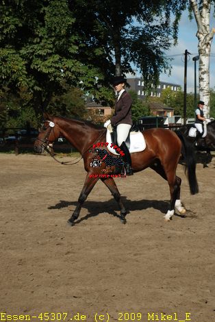 dsc_0053.jpg