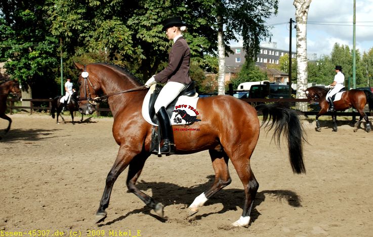 dsc_0071a.jpg