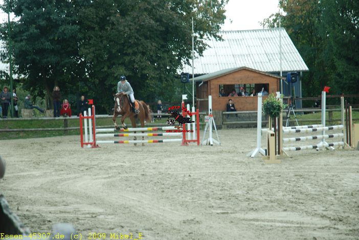 dsc_0154.jpg