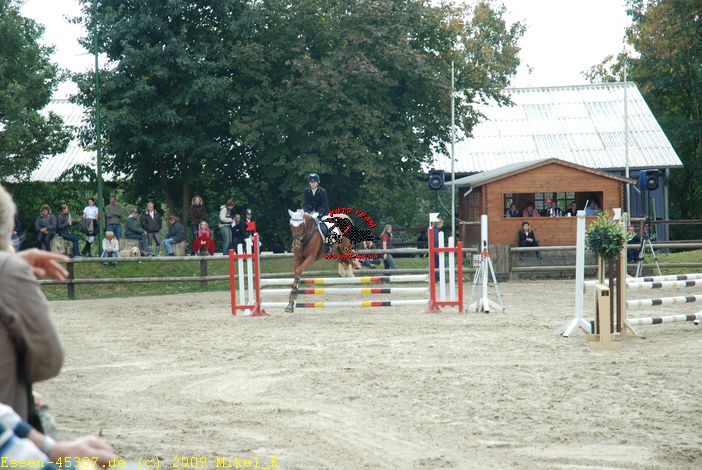 dsc_0162.jpg
