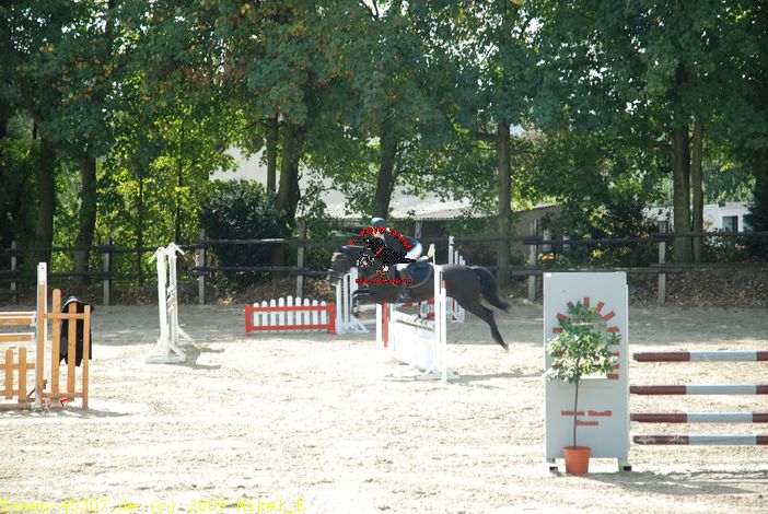 dsc_0230.jpg