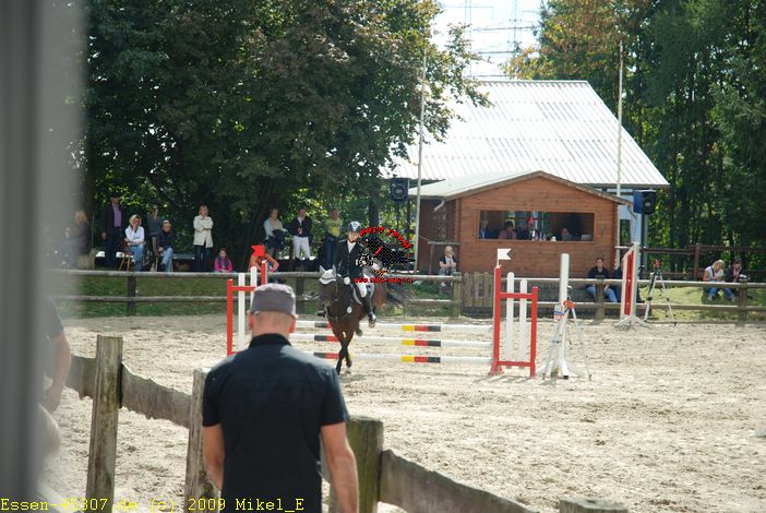 dsc_0235.jpg