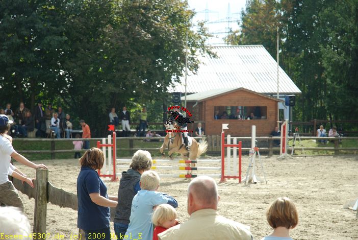 dsc_0248.jpg