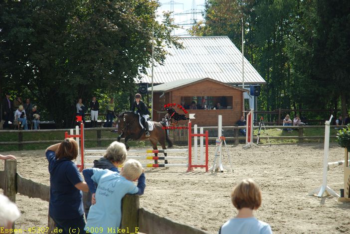 dsc_0252.jpg
