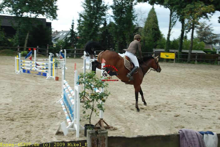 dsc_0272.jpg