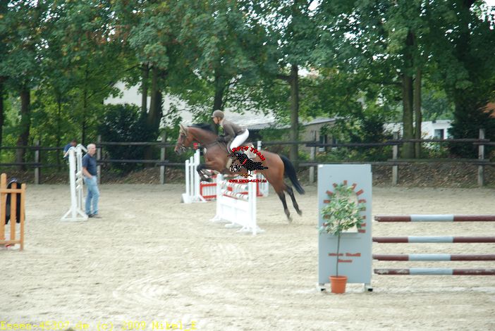 dsc_0275.jpg
