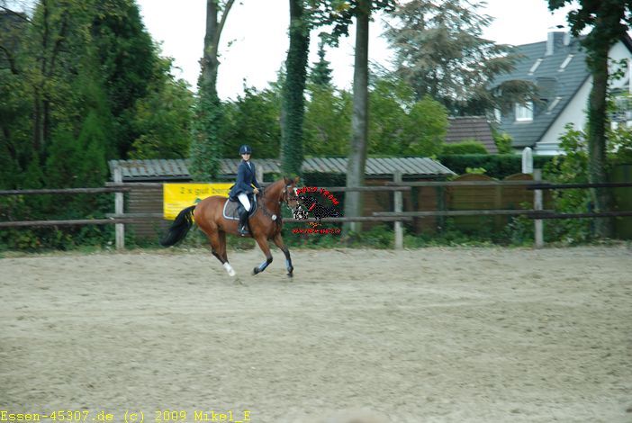 dsc_0285.jpg