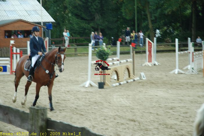 dsc_0293.jpg