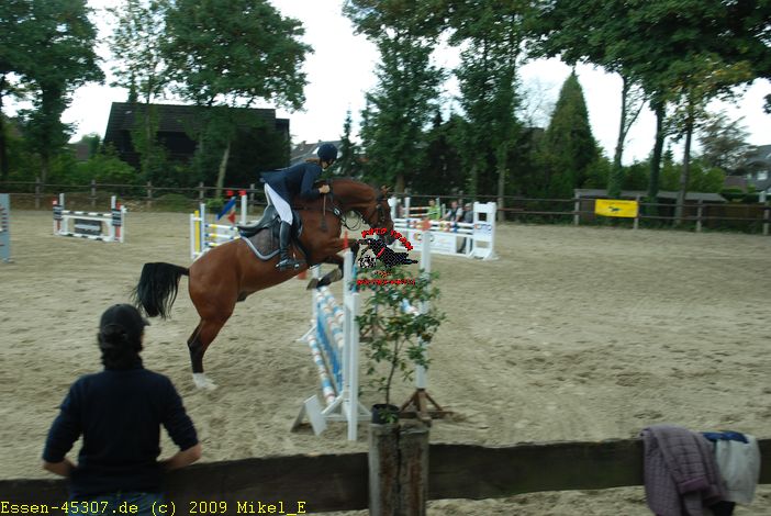 dsc_0294.jpg
