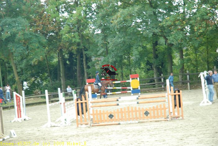 dsc_0302.jpg