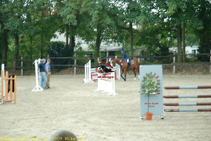 dsc_0303.jpg
