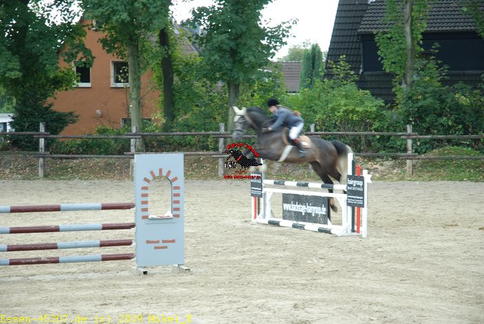 dsc_0310.jpg
