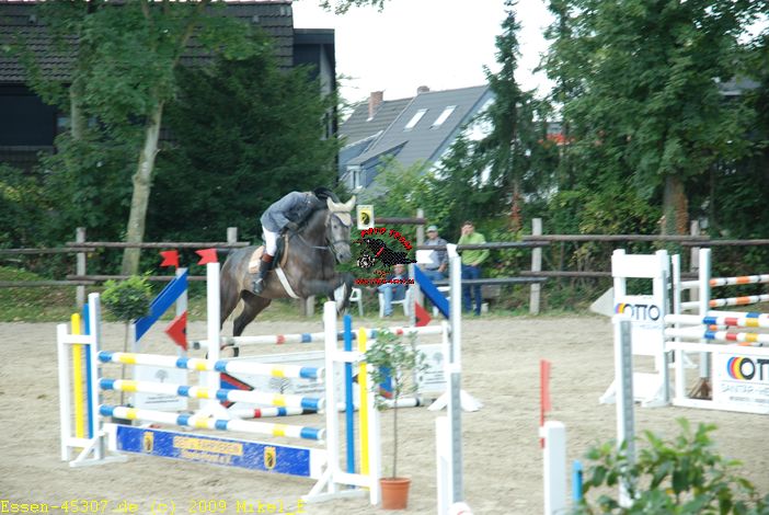 dsc_0311.jpg