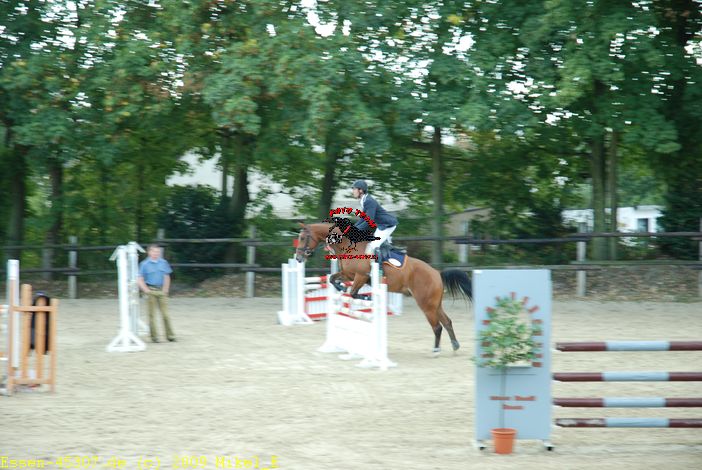 dsc_0316.jpg