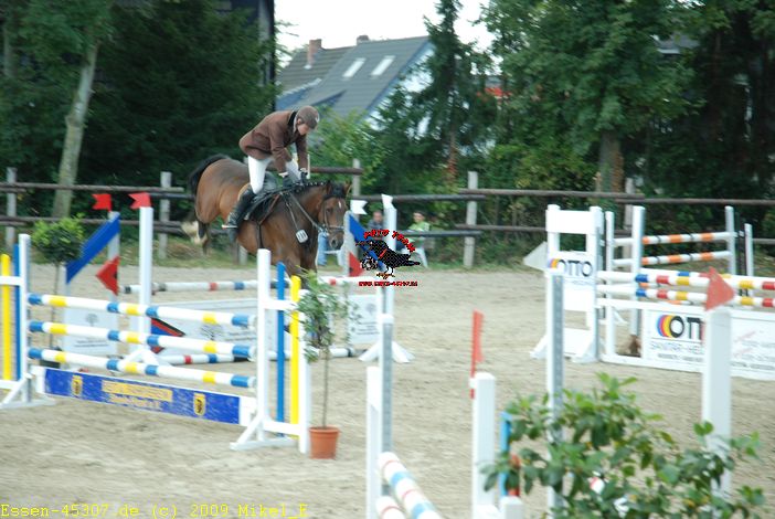 dsc_0319.jpg