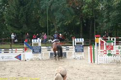 img_1945.jpg