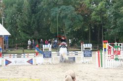 img_1963.jpg