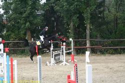 img_2011.jpg