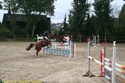 img_2110.jpg