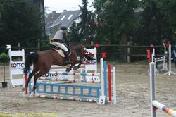 img_2125.jpg