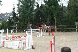 img_2142.jpg