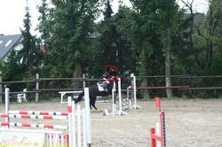 img_2195.jpg