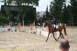img_2239.jpg