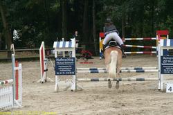 img_2401.jpg