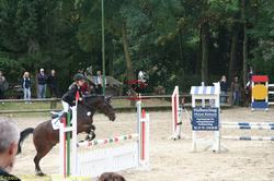 img_2428.jpg