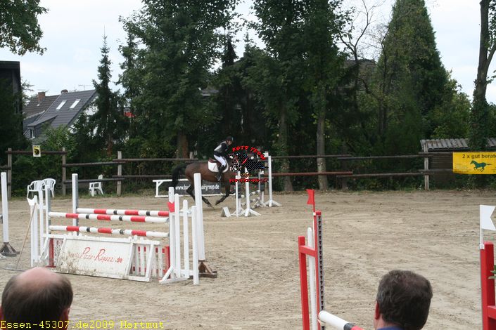 img_2154.jpg
